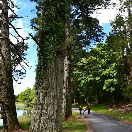 ホテル Kylemore Pass レターフラック