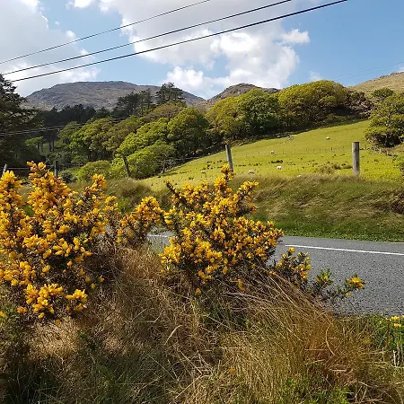 Kylemore Pass